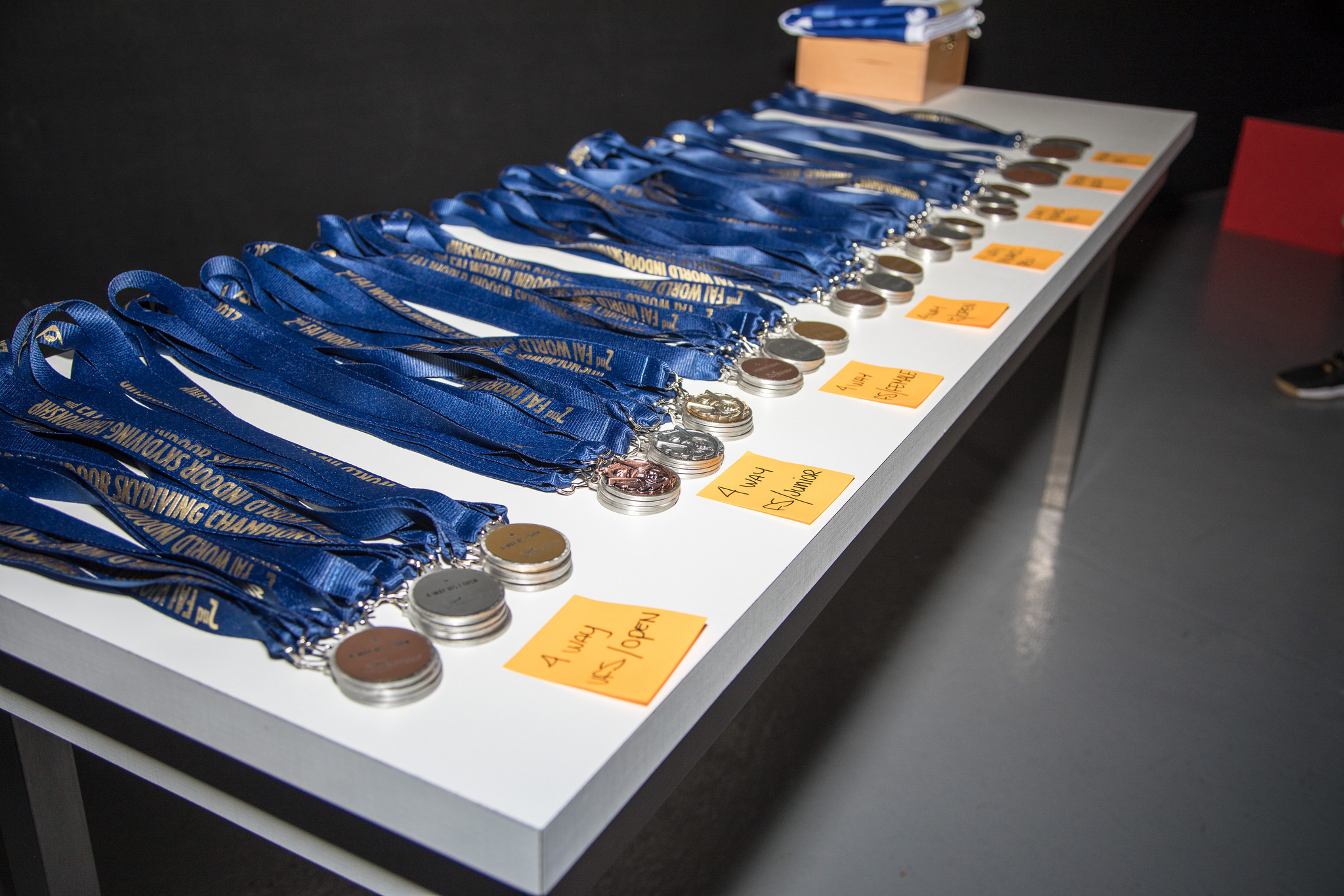 wisc2017-medals