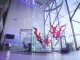 iFLY Paris - Flying Head Down Together