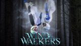 Wind Walkers Tournament at Windoor (Spain)