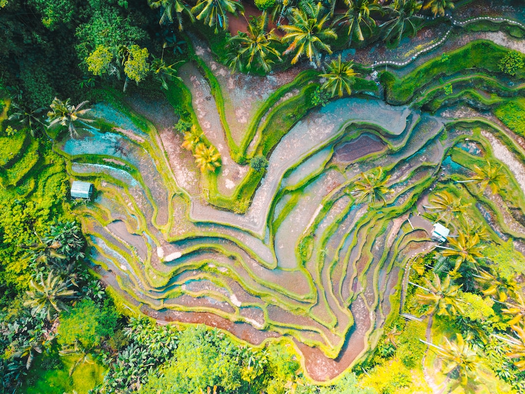 Indonesia — travel destination